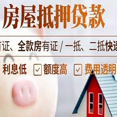 娄星贷款助贷公司新渝启服成立时间久